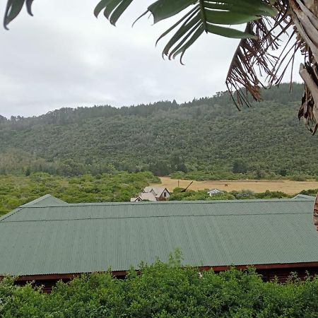 普勒滕贝格湾Pearly Beach House别墅 外观 照片