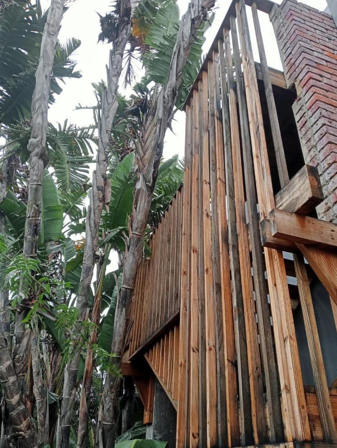 Pearly Beach House 普勒滕贝格湾 外观 照片